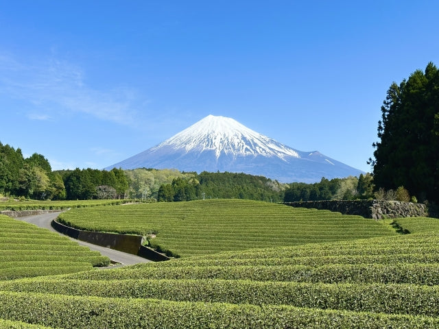 「NMN配合緑茶 優茶」の購入申し込みページ完成のお知らせ